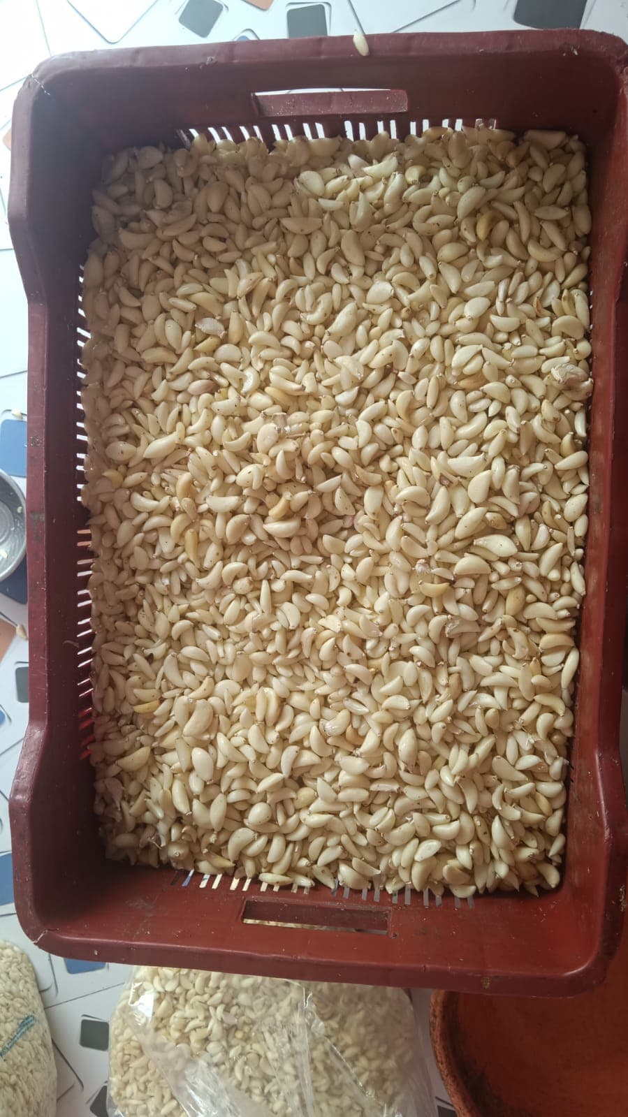 Agro Processing Excellence